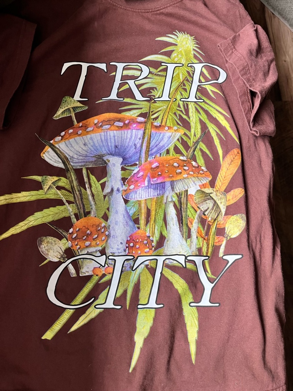 Trip City Brown Graphic Mushroom Short Sleeve Tee
